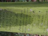 image of grave number 795348